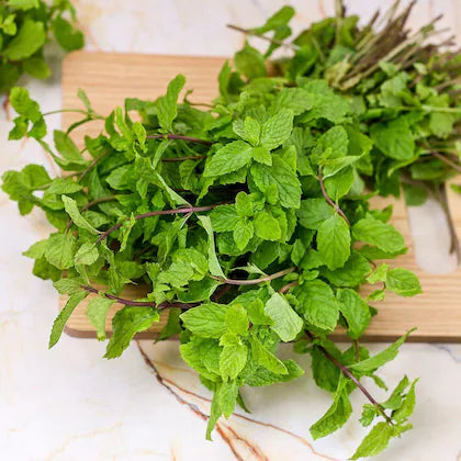 Mint Leaves / पुदीना 100 g