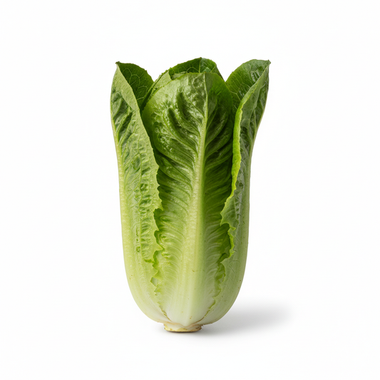 Roman Lettuce 1 pc { 400g - 500g }