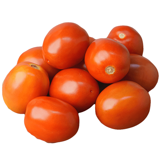 Hybrid Tomato 500g
