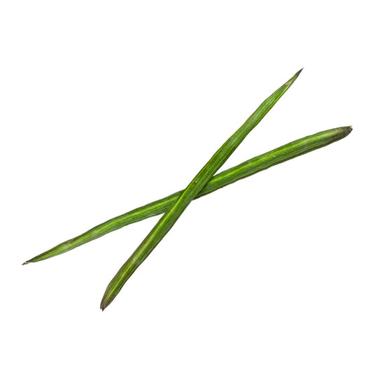 Drumstick / सहजन फली   2pieces
