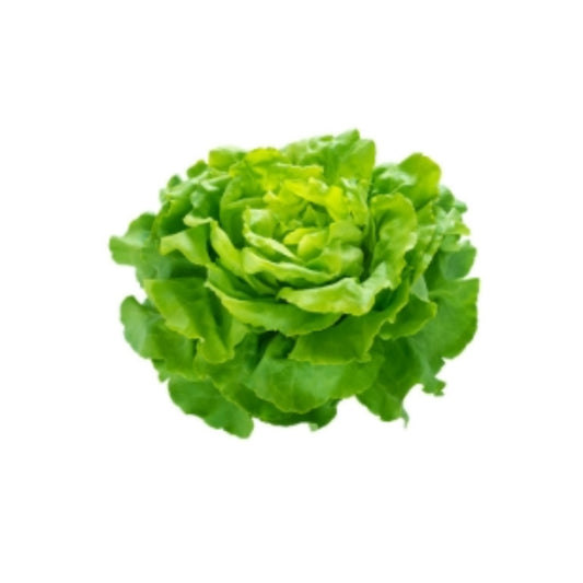Lettuce Green 100 -150 gms