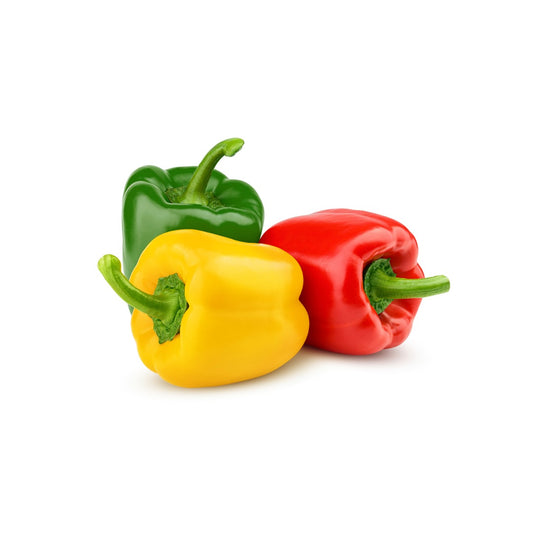 Capsicum Tricolour 3pieces
